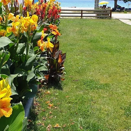 Bayside Apartmán Vasiliki