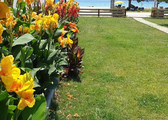 Bayside Appartement Vasiliki